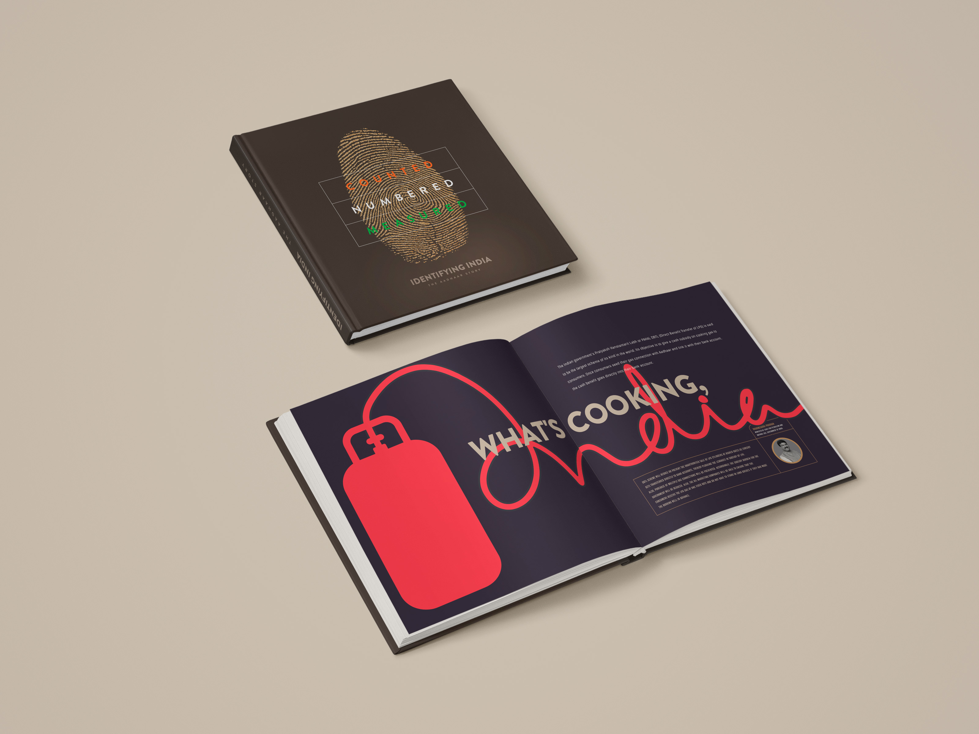 The book open on the 'What's cooking, India' spread with a red gas cylinder illustration
