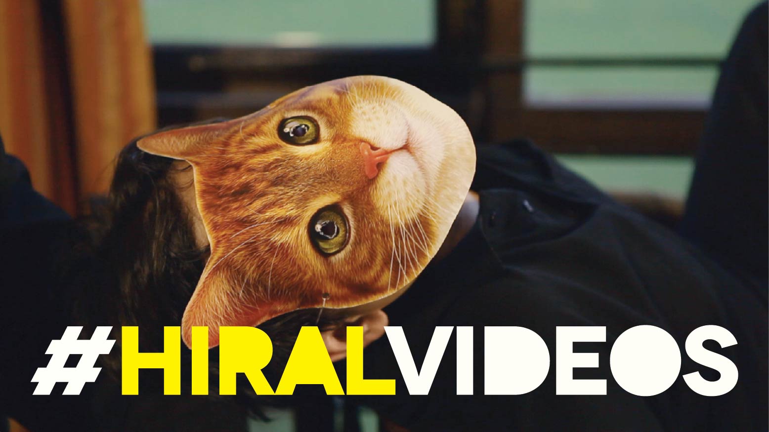 A man wearing a cat mask above the words #HiralVideos