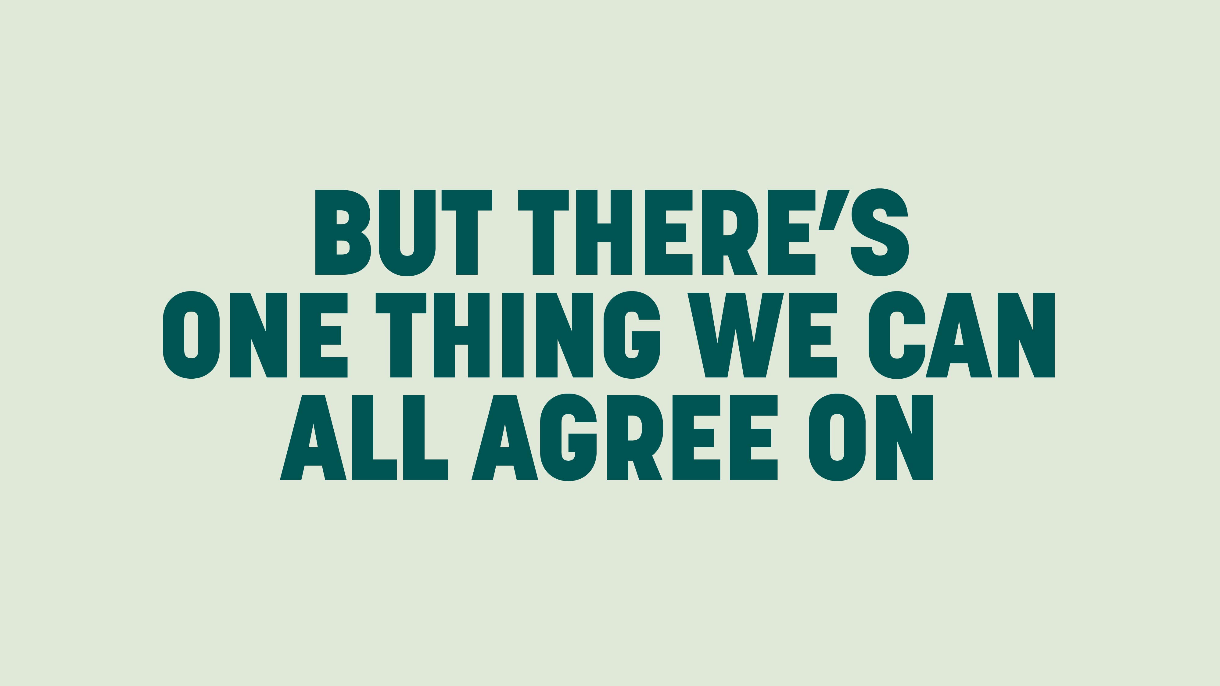‘But there's one thing we can all agree on’ on a mint background